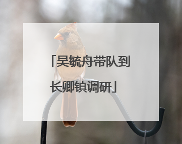 吴毓舟带队到长卿镇调研